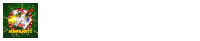havan777.com